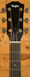 Taylor 300 Series | 314ce Studio - Shaded Edgeburst
