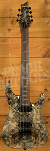 Schecter Omen Elite-7 | 7-String - Charcoal