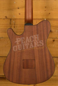 Ibanez FRH10N Solid-Top Cutaway Nylon Guitar - Brown Sunburst Flat