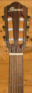 Ibanez FRH10N Solid-Top Cutaway Nylon Guitar - Brown Sunburst Flat