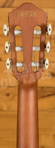 Ibanez FRH10N Solid-Top Cutaway Nylon Guitar - Brown Sunburst Flat