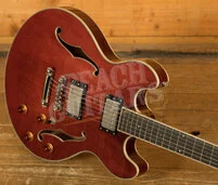 Eastman Truetone Gloss T185MX | Classic