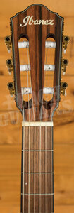 Ibanez FRH Acoustic Guitars | FRH10N - Electro-Nylon - Brown Sunburst Flat