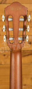 Ibanez FRH Acoustic Guitars | FRH10N - Electro-Nylon - Brown Sunburst Flat