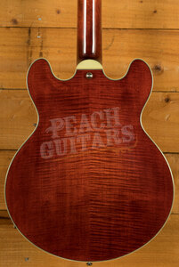 Eastman Electric Thinline - Truetone Gloss | T484 - Classic