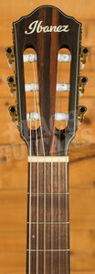 Ibanez FRH Acoustic Guitars | FRH10N - Electro-Nylon - Brown Sunburst Flat