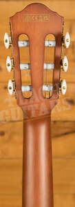 Ibanez FRH Acoustic Guitars | FRH10N - Electro-Nylon - Brown Sunburst Flat