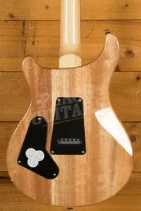 PRS SE Custom | Custom 24 - Trampas Green