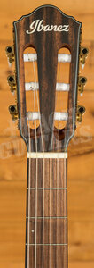 Ibanez FRH Acoustic Guitars | FRH10N - Electro-Nylon - Natural Flat