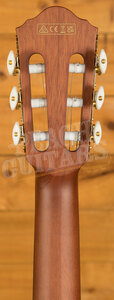 Ibanez FRH Acoustic Guitars | FRH10N - Electro-Nylon - Natural Flat