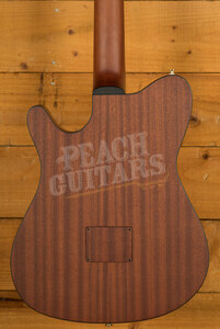 Ibanez FRH10N Solid-Top Cutaway Nylon Guitar - Natural Flat