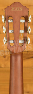 Ibanez FRH10N Solid-Top Cutaway Nylon Guitar - Natural Flat
