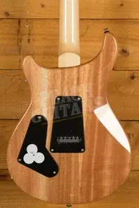 PRS SE Custom | Custom 24 - Trampas Green