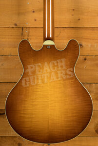 Eastman Truetone Gloss Thinline Series | T486-GB - Goldburst 