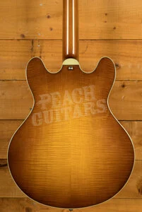 Eastman Truetone Gloss Thinline Series | T486-GB - Goldburst