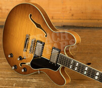 Eastman Truetone Gloss Thinline Series | T486-GB - Goldburst 