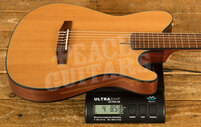 Ibanez FRH Acoustic Guitars | FRH10N - Electro-Nylon - Natural Flat