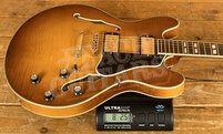 Eastman Truetone Gloss Thinline Series | T486-GB - Goldburst 