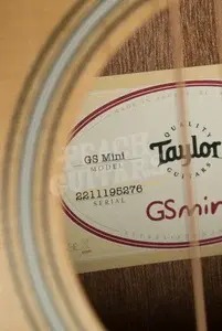 Taylor GS Mini Series | GS Mini Sapele