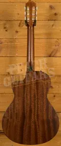 Taylor 312ce-N All-Solid Cutaway Classical Guitar - Natural