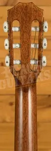 Taylor 312ce-N All-Solid Cutaway Classical Guitar - Natural