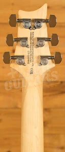 PRS SE Specialty | Swamp Ash Special - Iri Blue