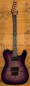 Schecter PT Standard | Purple Burst Burl