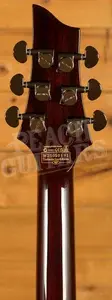 Schecter Hellraiser C-1 | Black Cherry
