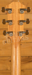 Taylor 200 Plus Series | 214ce Plus