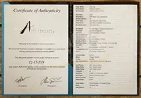 Tom Anderson Drop Top - Satin Mocha WakeSurf