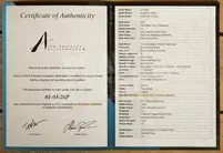 Tom Anderson Li'l Angel - Satin Teal WakeSurf