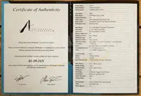 Tom Anderson Angel - Transparent Pink to Plum Burst