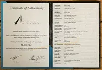 Tom Anderson Angel Player - Satin Super Sonic Gray 