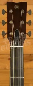 Yamaha Red Label FS5 - Heritage Natural Gloss