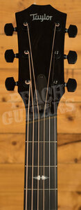 Taylor NAMM Customs 2025 | C14ce B5026