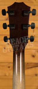 Taylor NAMM Customs 2025 | C14ce B5026