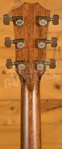 Taylor 400 Series | 414ce Natural Next Generation