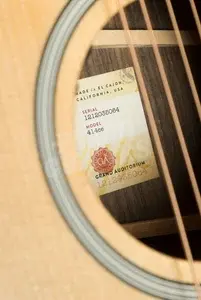 Taylor 400 Series | 414ce Natural Next Generation