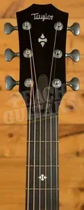 Taylor 500 Series | Builder's Edition 524ce Next Generation