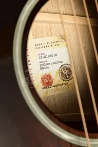 Taylor 500 Series | Builder's Edition 524ce Next Generation