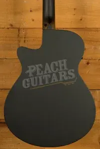 Ibanez AEG1221 - Black Out