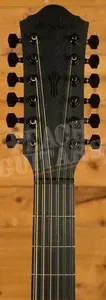 Ibanez AEG1221 - Black Out