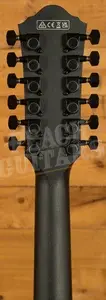 Ibanez AEG1221 - Black Out