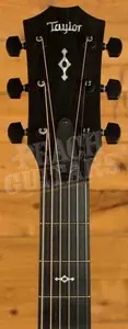 Taylor 300 Series | 324ce Next Generation