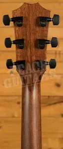 Taylor 300 Series | 324ce Next Generation