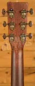 Sigma Standard Series All Solid | SDR-28 - Natural