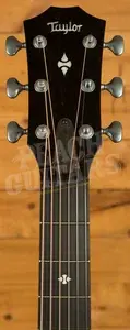 Taylor 500 Series | Builder's Edition 514ce Next Generation - Natural