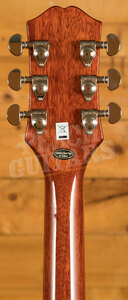 Epiphone Les Paul Standard 60s Figured | Iced Tea Burst w/Gigbag