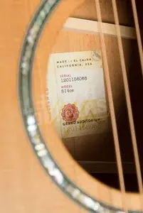 Taylor 500 Series | 514ce Next Generation