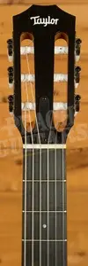 Taylor 100 Series | 112ce-N
